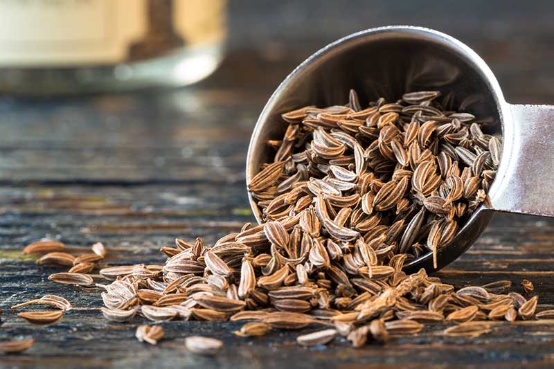 Caraway Seeds